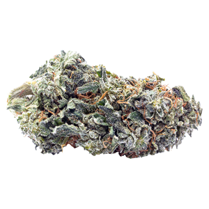 Terp Town Collective - Frosty Melonz - Sativa - 3.5g