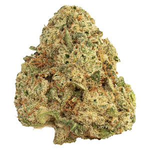 East Coast Terpz - Small Batch Craft Whole Flower - Hybrid - 3.5g