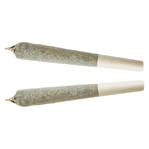 XPLOR - Indica Pre-roll - 1x1g
